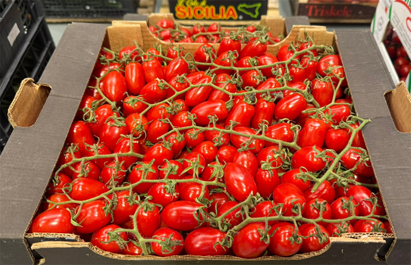 Pomodoro datterino - Sicilia - 2 euro al chilogrammo